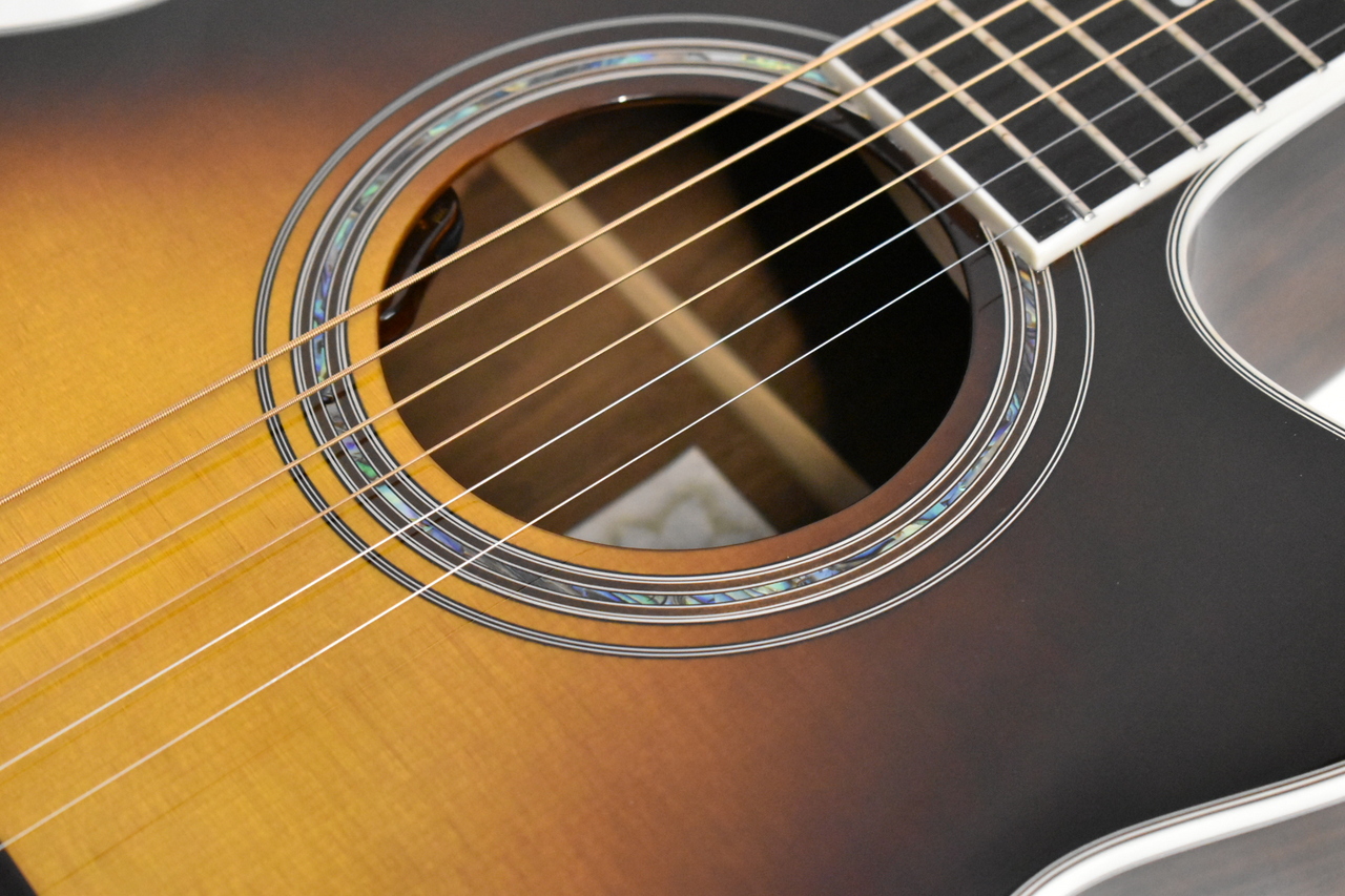 Morris R-14G BS(ブラウンサンバースト) 【国産エレアコ】（新品特価