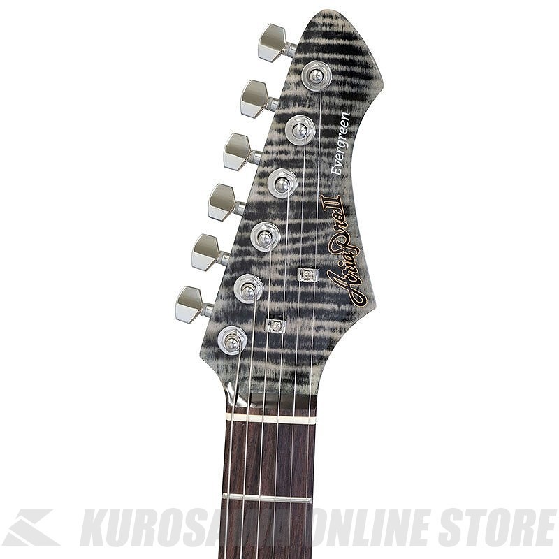 ギター ARIA Pro IIEvergreen 714-AE200 714-AE200 SSPK | AE -Aria Evergreen- | Products | ARIA 荒井