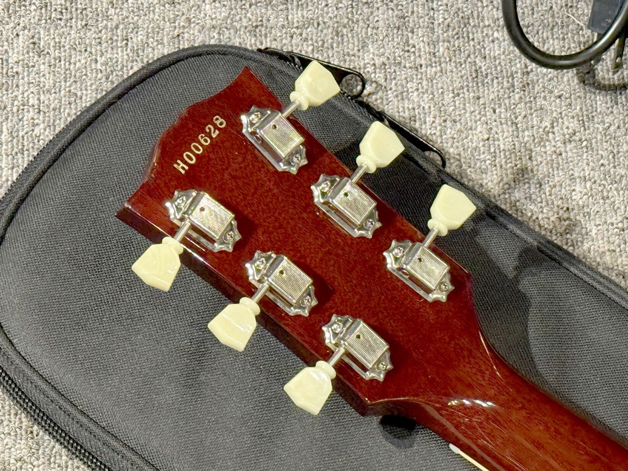 Bacchus BSG-STD Bigsby BR（中古）【楽器検索デジマート】