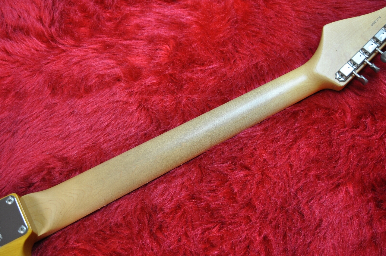 Providence dS-201 RSV LTD ANA（中古）【楽器検索デジマート】