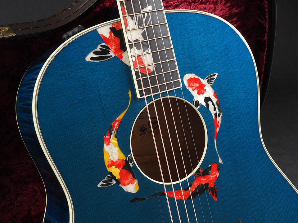 Taylor Custom #41 C17e B5041 with Circa74 Amp / Grand Pacific Koi