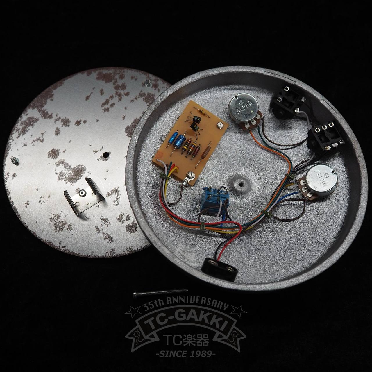 Organic Sounds ORGA FACE BC183L Aged (NEW)（新品）【楽器検索