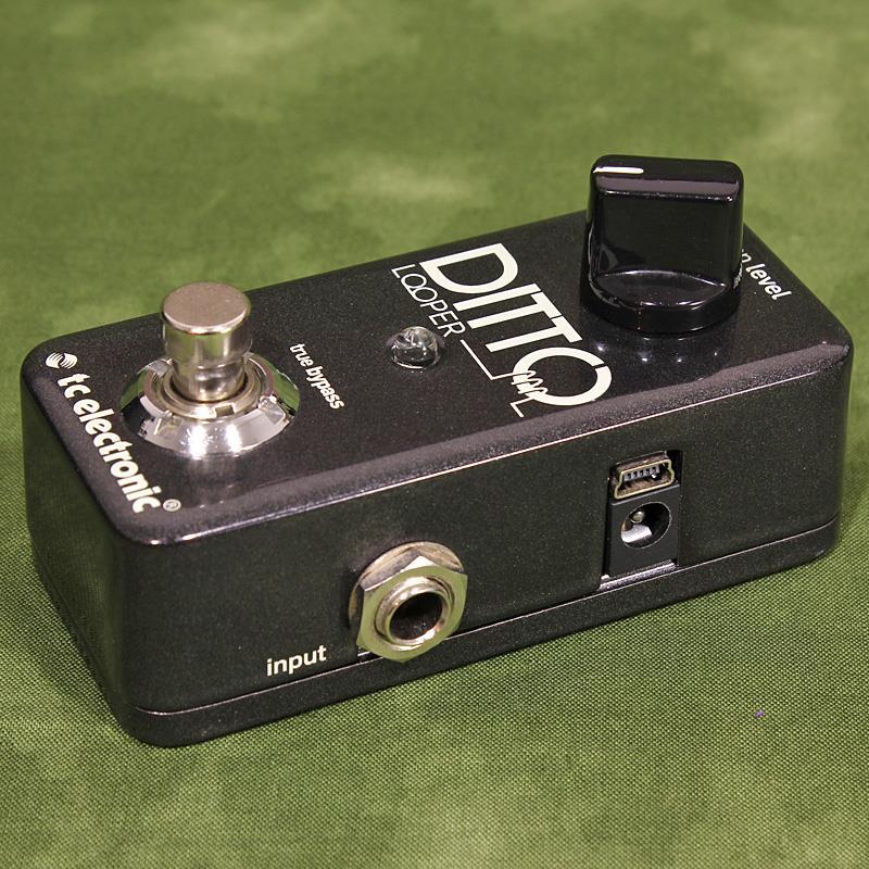 tc electronic USED 中古 DITTO LOOPER（中古）【楽器検索デジマート】