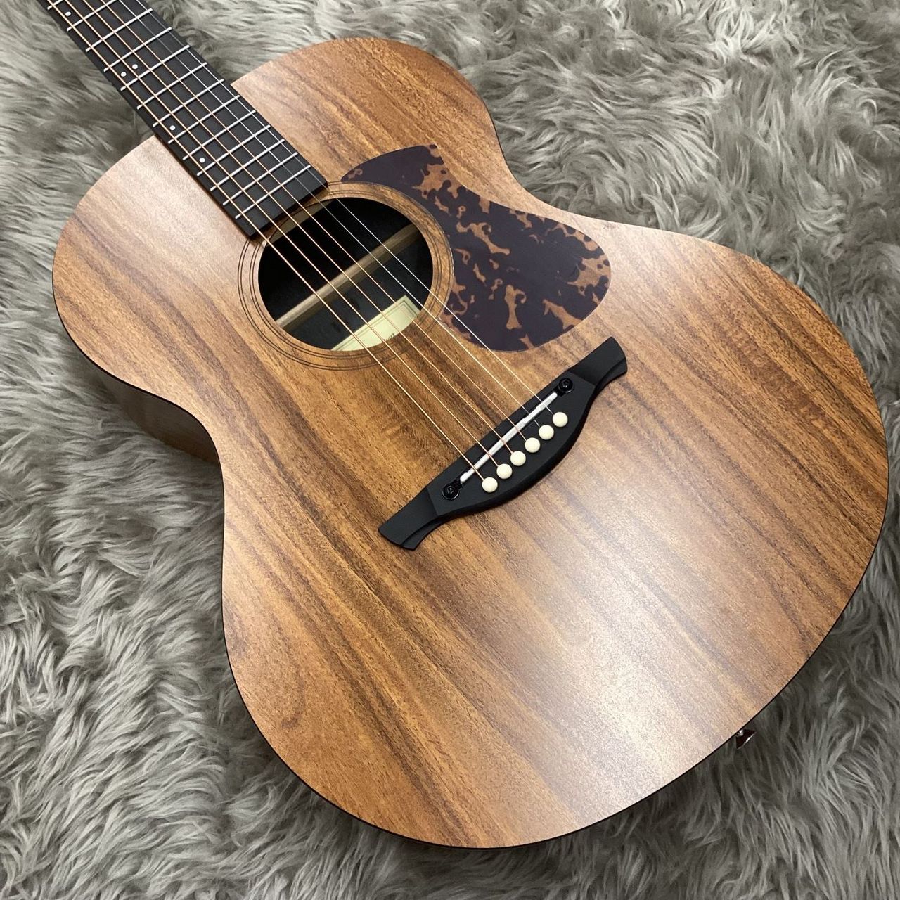 James J-100A SPT アコースティックギター ギグケース付属