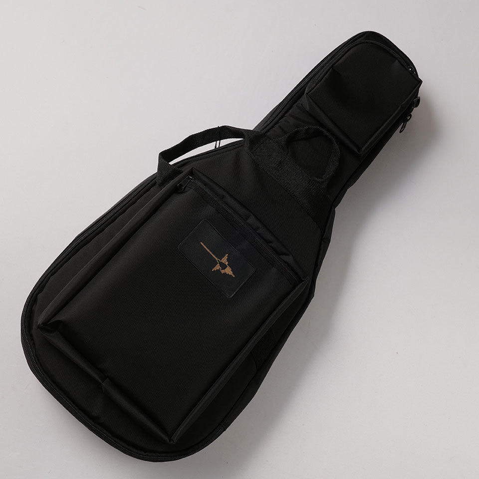 NAZCA Protect Case strandberg EG用（新品/送料無料）【楽器検索