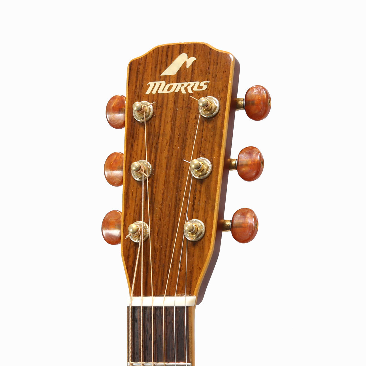 MORRIS MF-252 コンパクト低弦高 美品 Morris MF-252 Acoustic Guitars アコースティックギター
