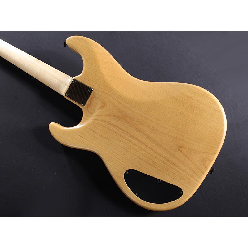 Wood Custom Guitars USED 中古 Gene-4 Buckeye Burl Top（中古