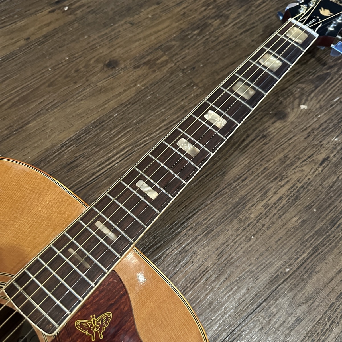 【訳あり】Aria WH25N　ハミングバード　アリア　ソフトケース付き 訳あり】Aria WH25N ハミングバード アリア ソフトケース付き