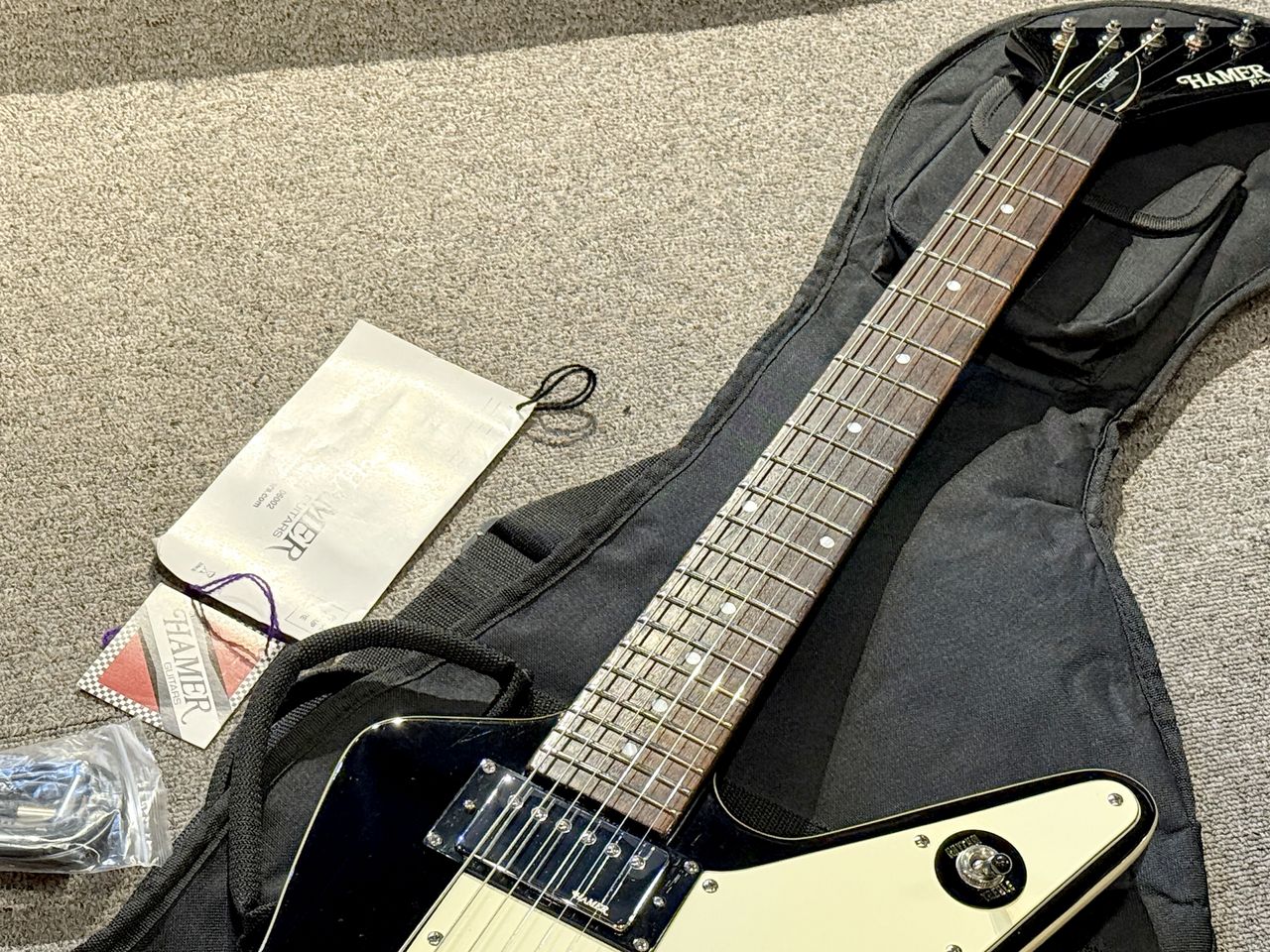 HAMER Standard（中古）【楽器検索デジマート】