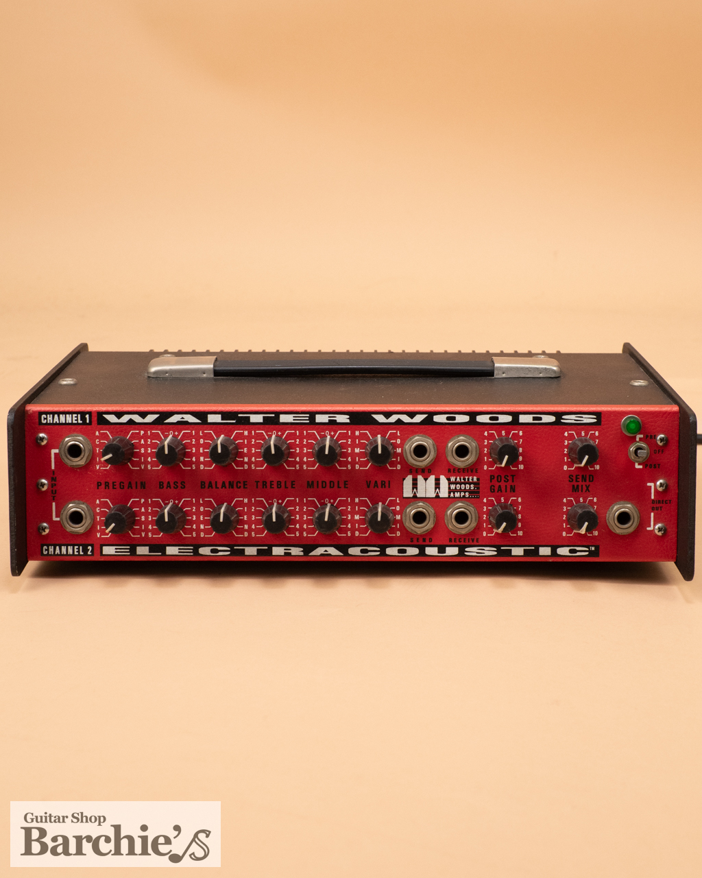 ベース WALTER WOODS MI-200-8 / M-300 Walter Woods MI-200-8 Electracoustic Bass Amp - Recently