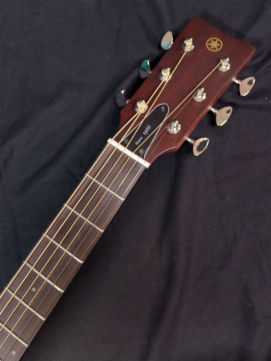 YAMAHA FS3 VN Vintage Natural Red Label（新品特価）【楽器検索