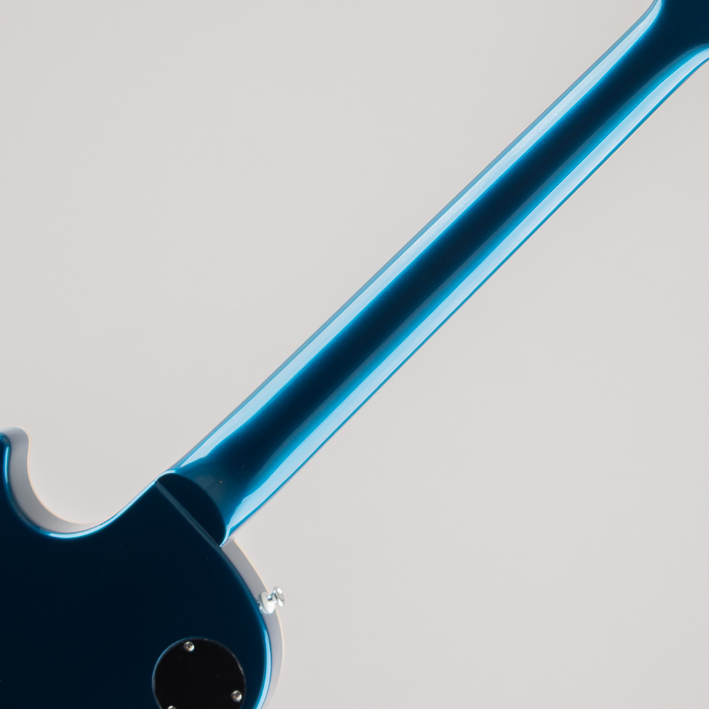 FUJIGEN(FGN) NLS100RMPTB / Old Lake Placid（新品/送料無料）【楽器