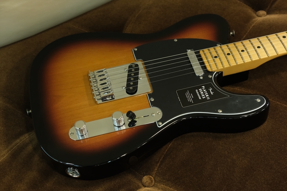 SAMICK TLJ-2S TELECASTER テレキャスター ソフトケース A9a7871d4cf91453880e7dc135a420