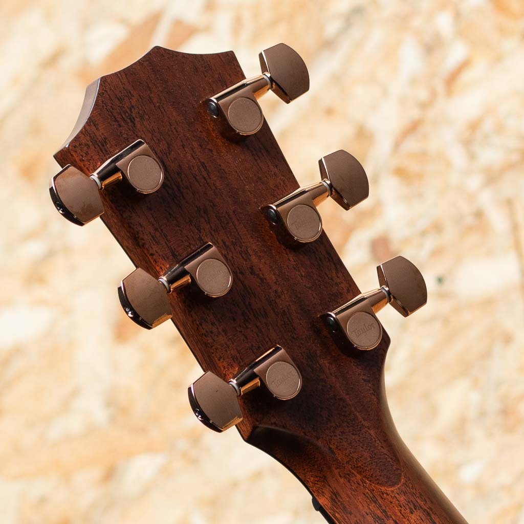 Taylor 814ce Special Edition Shade Edge Burst（新品）【楽器検索