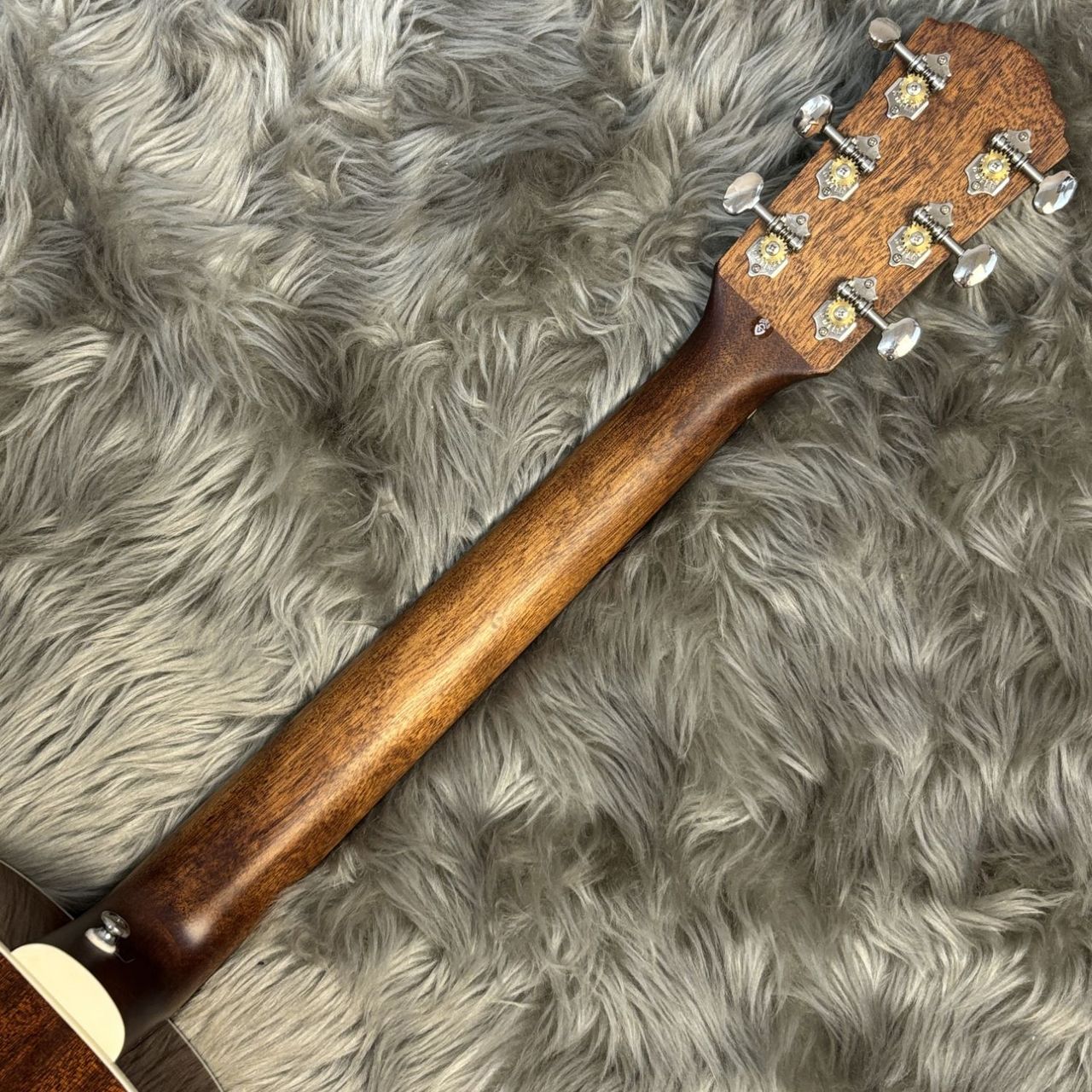 GUILD DS-240 MEMOIR（新品特価/送料無料）【楽器検索デジマート】