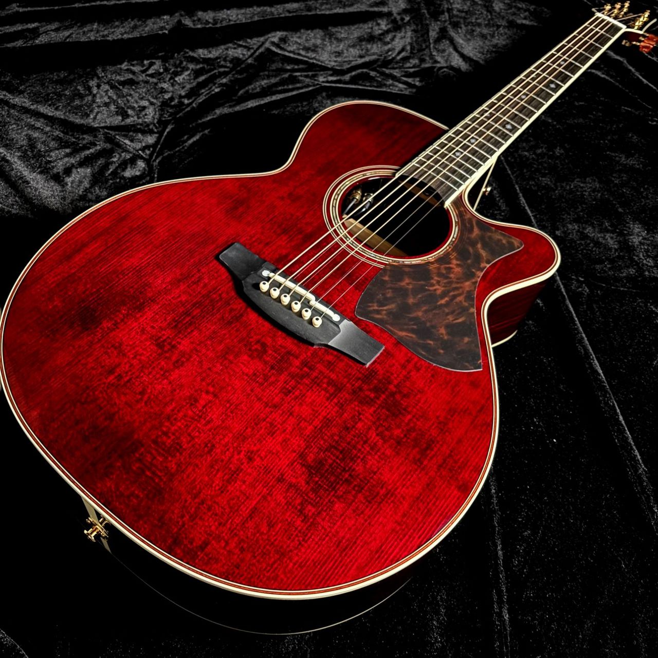 Takamine DMP50S WR【現物画像】エレアコギター セミハードケース付属