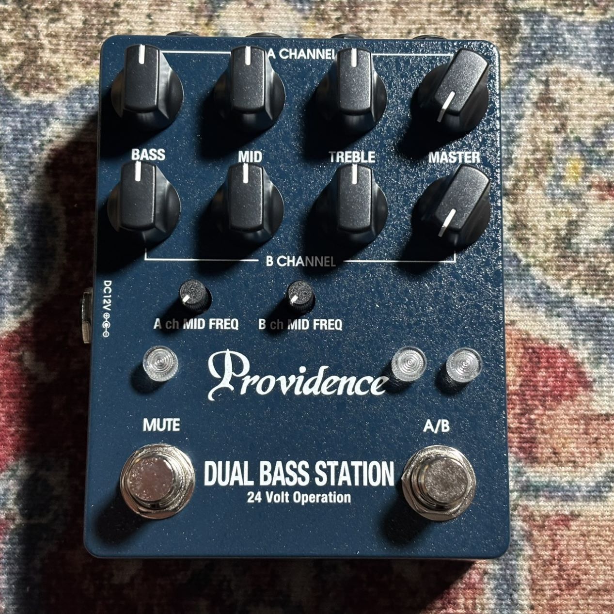 Providence DBS-1 (DBS1) ベースプリアンプ【S/N:AA801415】【DUAL