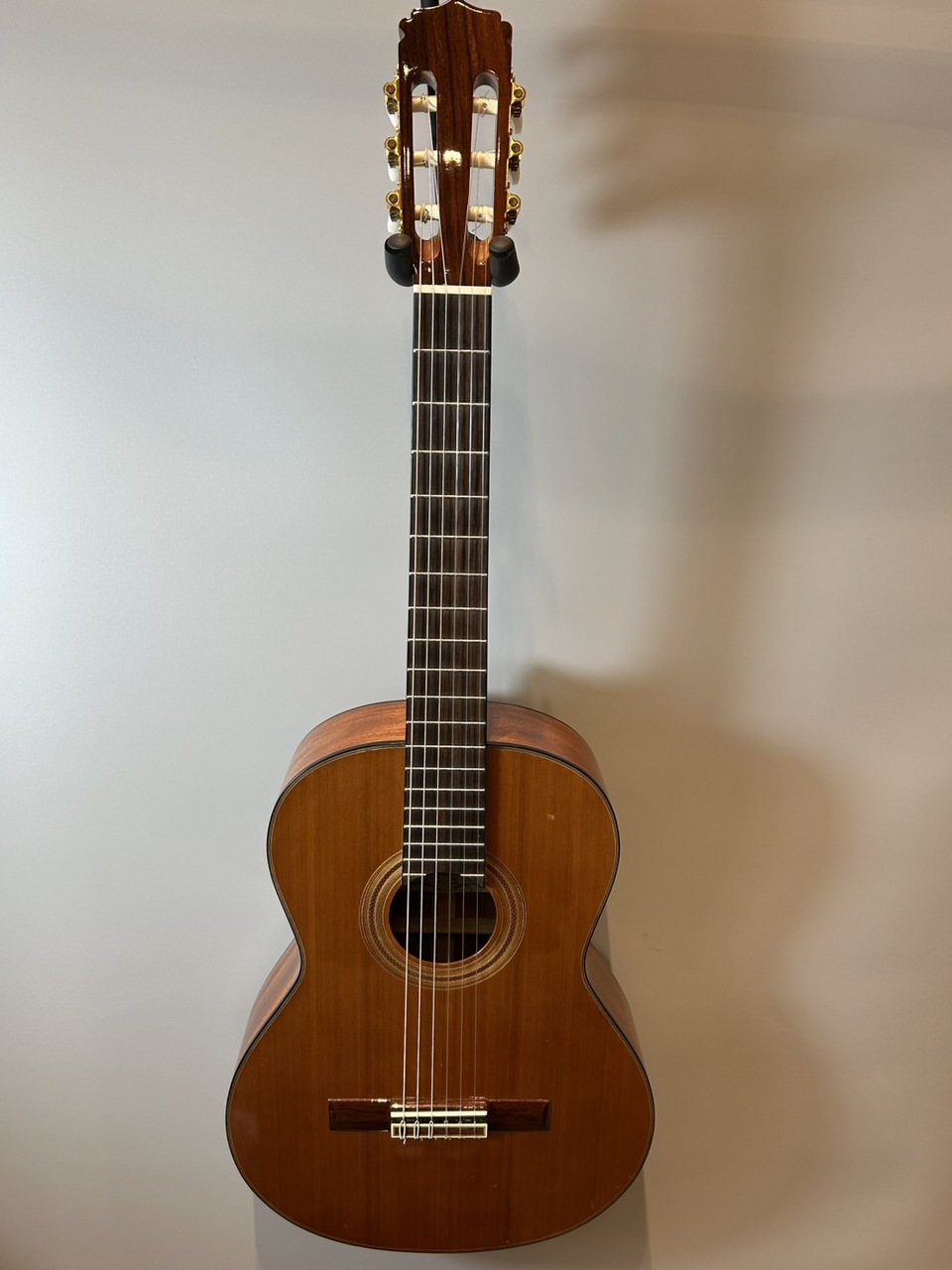 ARIA A-20【現物画像】