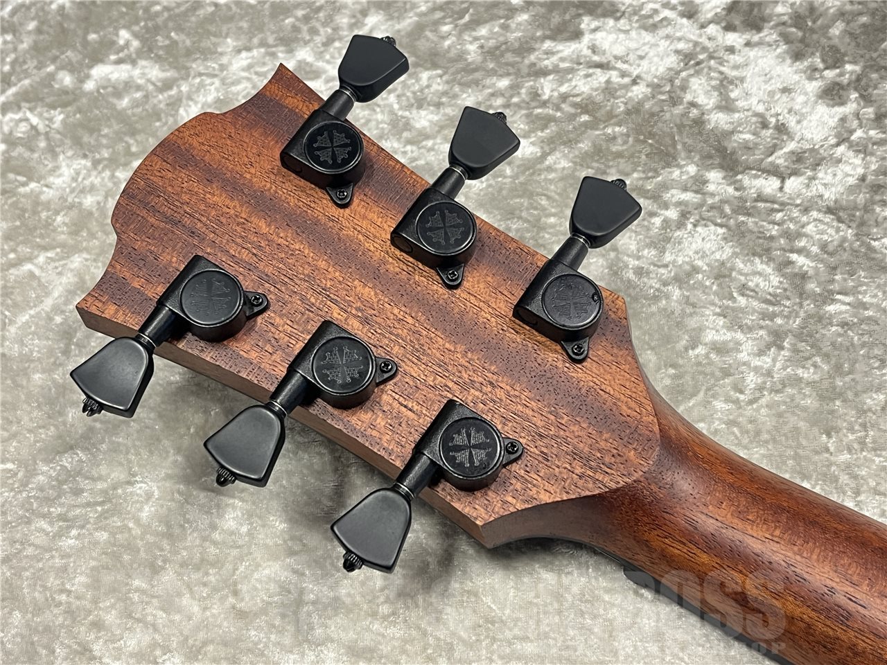 LAG Guitars SAUVAGE-ACE（新品/送料無料）【楽器検索デジマート】