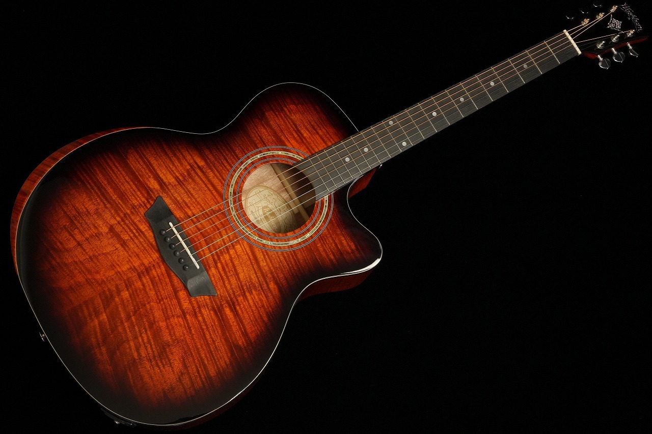 Washburn WCG12FCE エレアコギター（新品特価/送料無料）【楽器検索