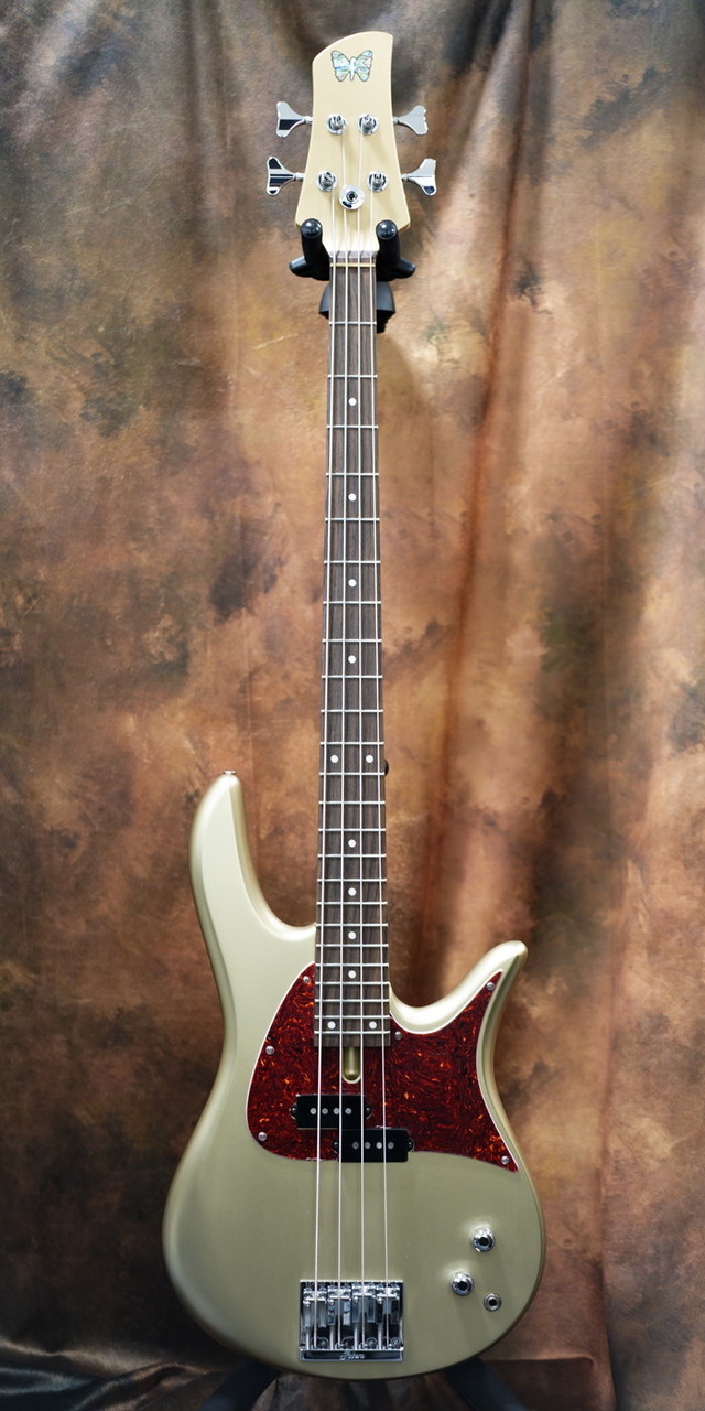 Fodera Monarch 4 P Standard Classic Special Gold（新品/送料無料