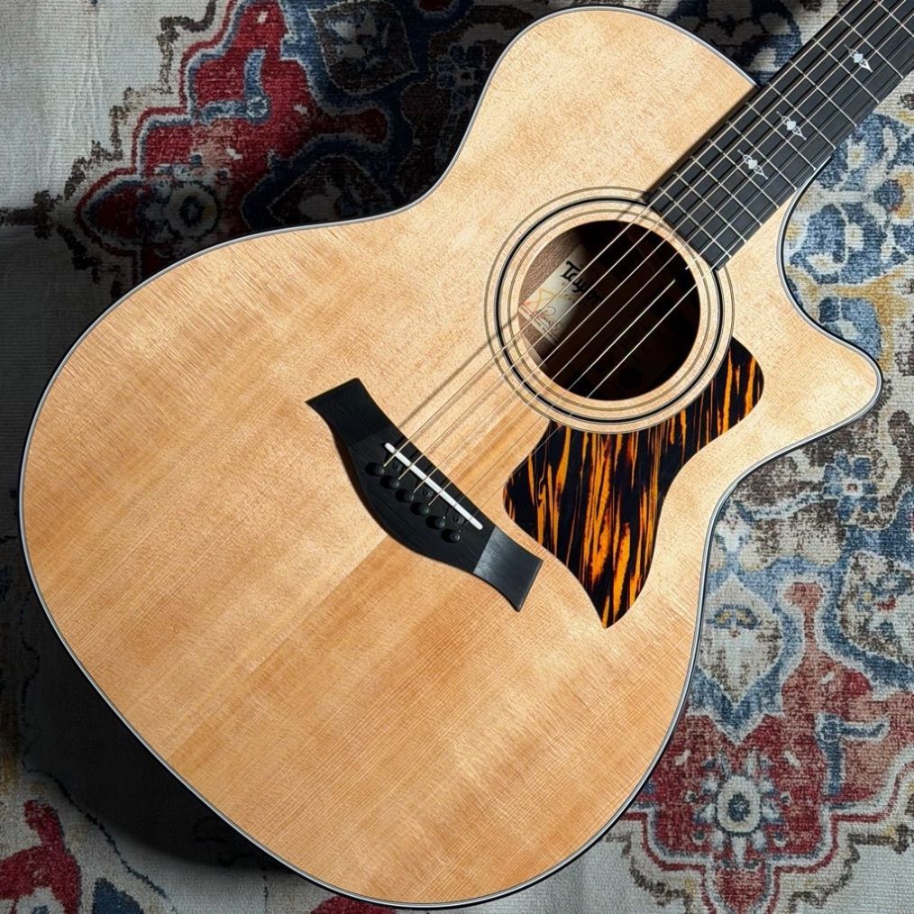 Taylor 314ce J-Spec【ご成約特典付属】【現物写真】（新品/送料無料