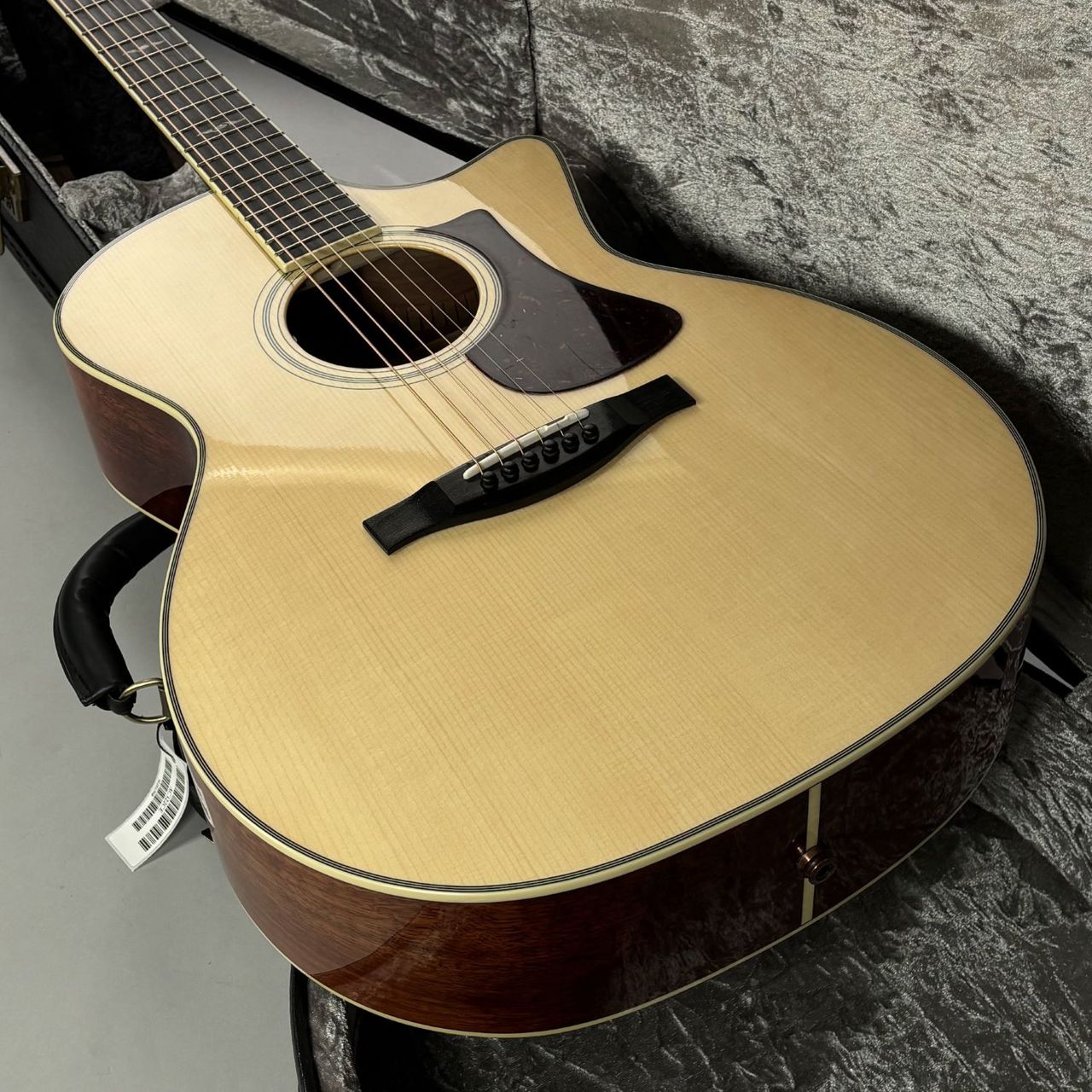 Eastman AC322CE エレアコ オール単板 L.R.Baggsピックアップ搭載