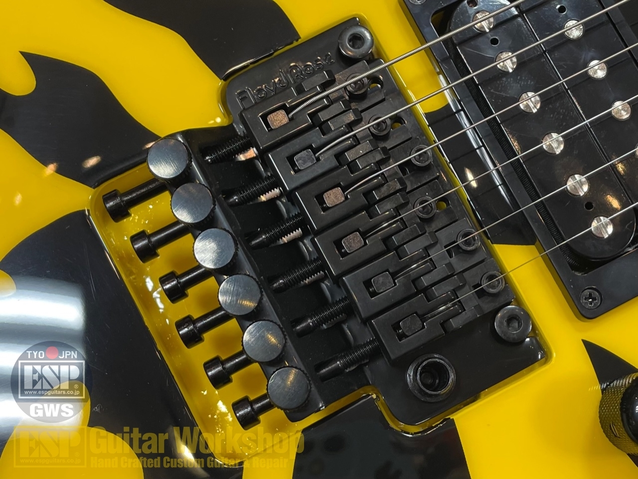 EDWARDS E-YELLOW TIGER（新品/送料無料）【楽器検索デジマート】