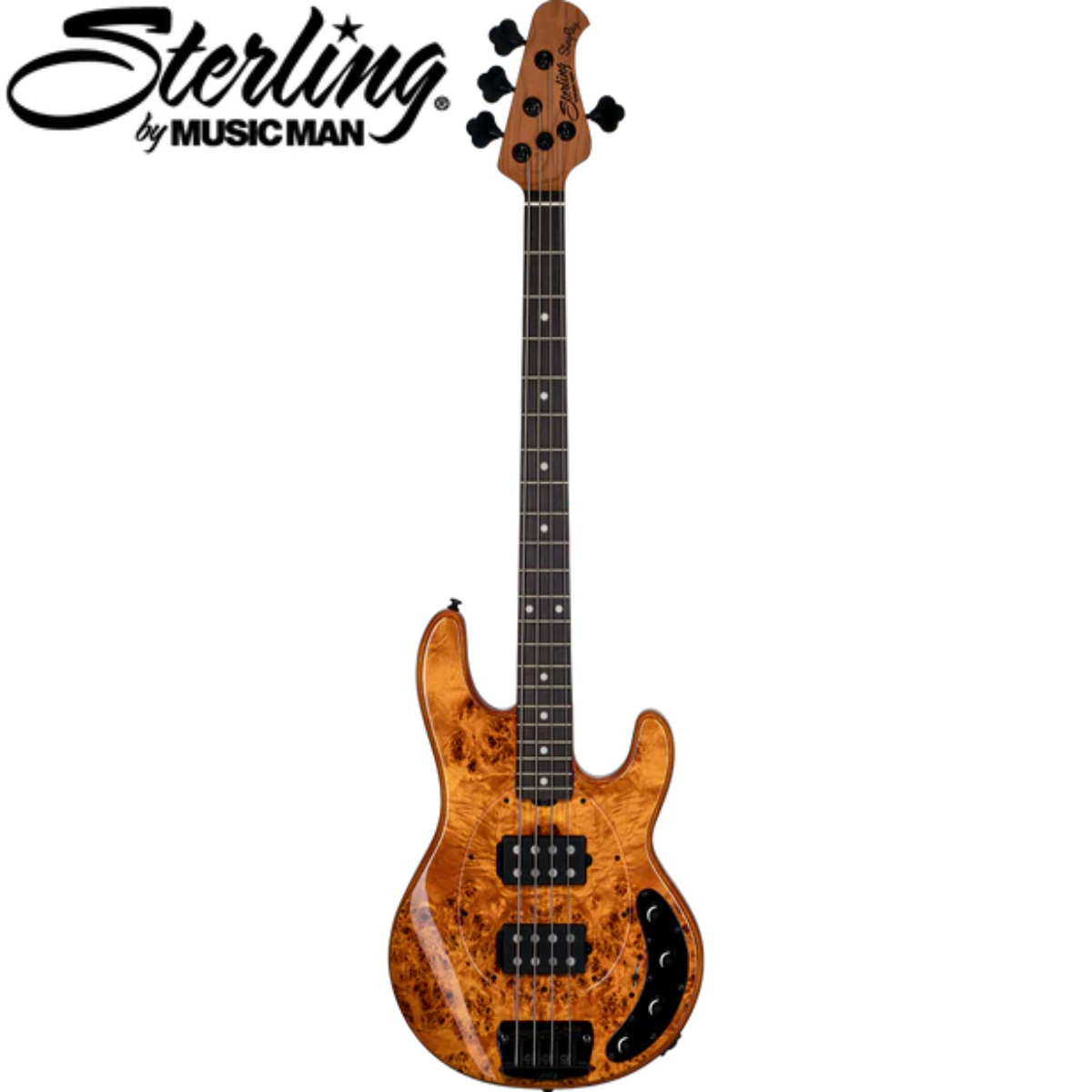 Sterling by MUSIC MAN RAY34HH AMBER （新品/送料無料）【楽器検索