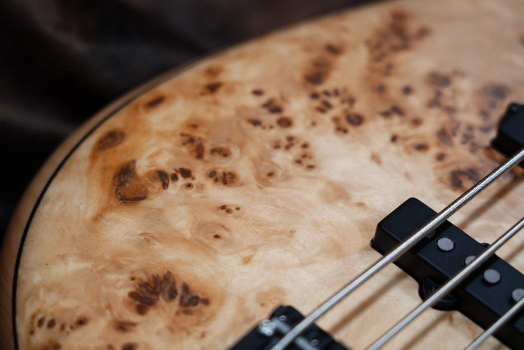 Fodera Monarch 5 Standard Special Poplar Burl（新品/送料無料 