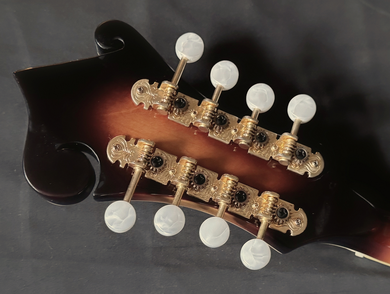Stafford SF-FM Electric Model(中古)【楽器検索デジマート】 Stafford SF-FM Electric Model(中古)【楽器検索デジマート】