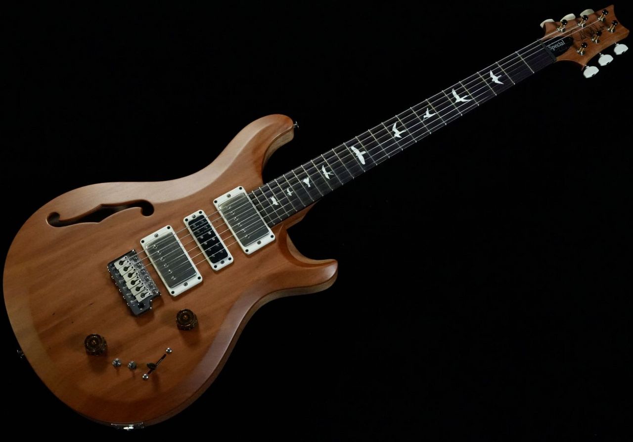 Paul Reed Smith(PRS) S2 Special Semi-Hollow Reclaimed Limited