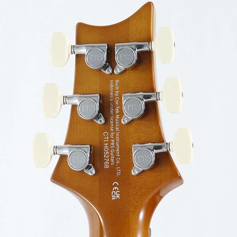 Paul Reed Smith(PRS) Ikebe Exclusive SE Custom 24 Spalted Veneer