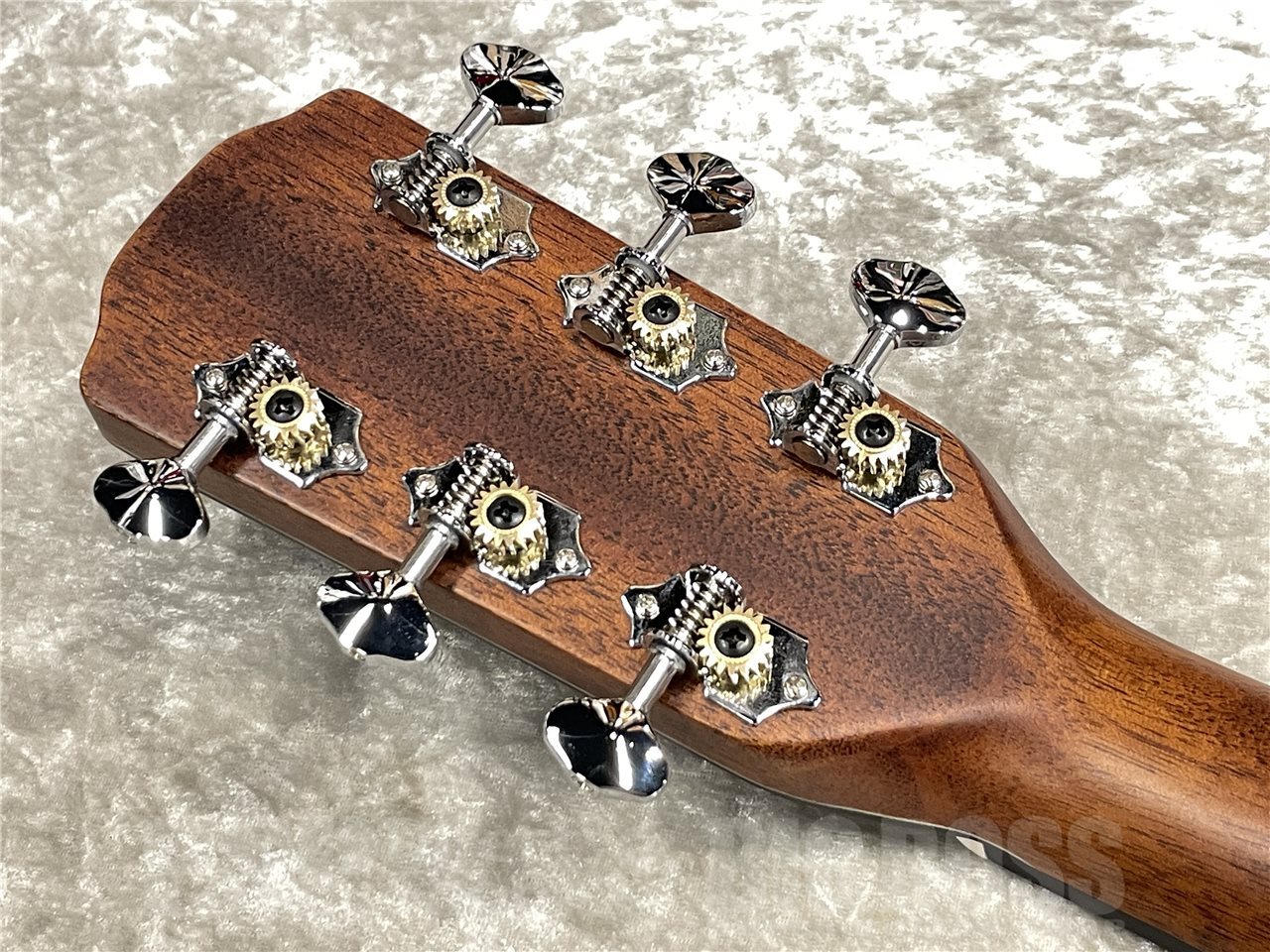 Morris F-1【Natural】（新品/送料無料）【楽器検索デジマート】