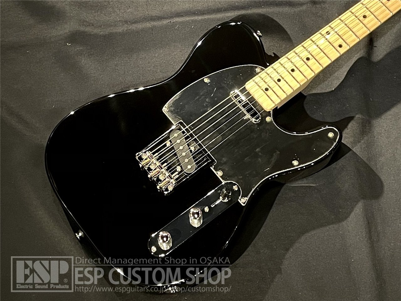 GrassRoots エレキギター 本体 GrassRoots G-TE/M Black（新品/送料無料）【楽器検索デジマート】