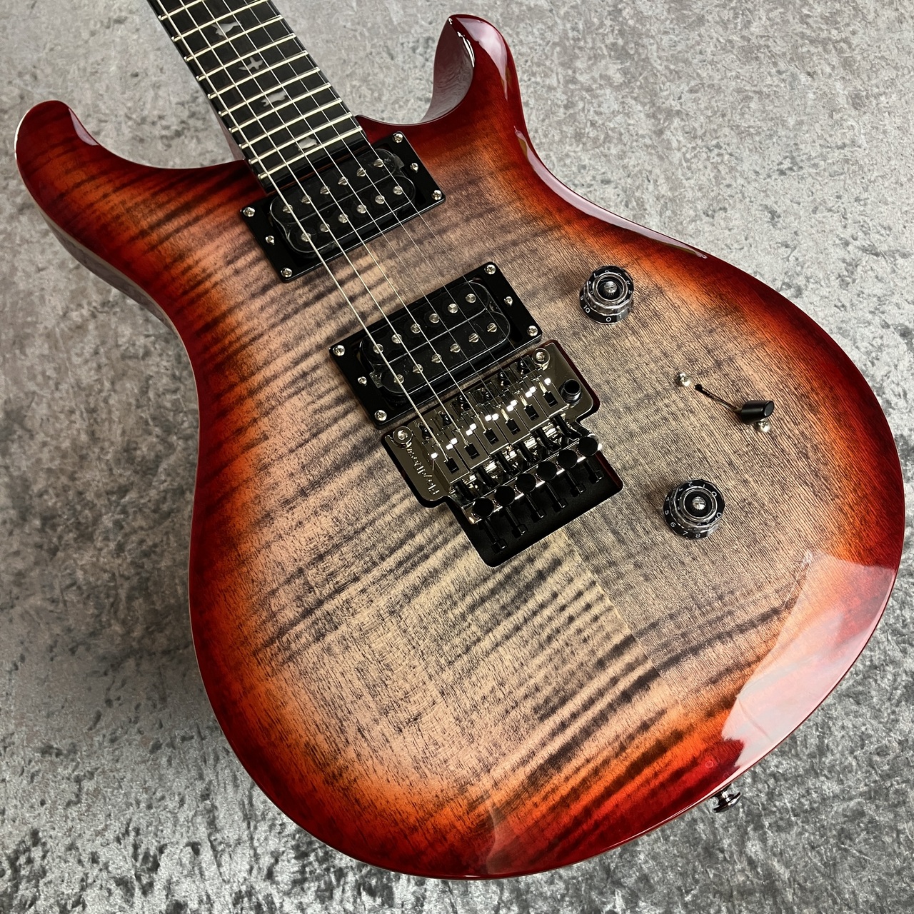 Paul Reed Smith(PRS) SE Custom 24 