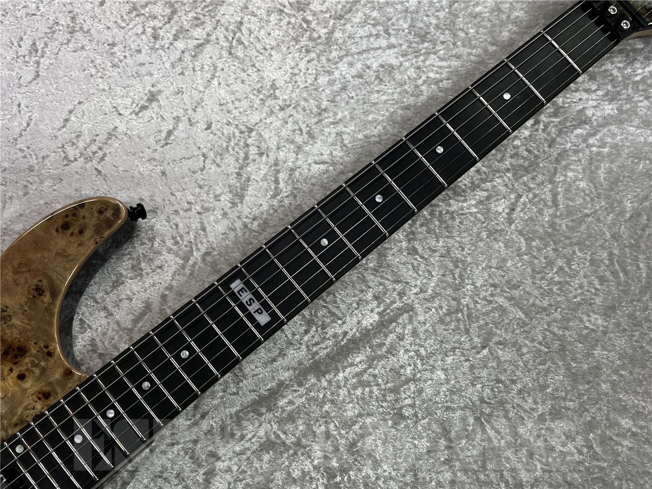 E-II SN-II Blue Natural Fade 純正ハードケース付
