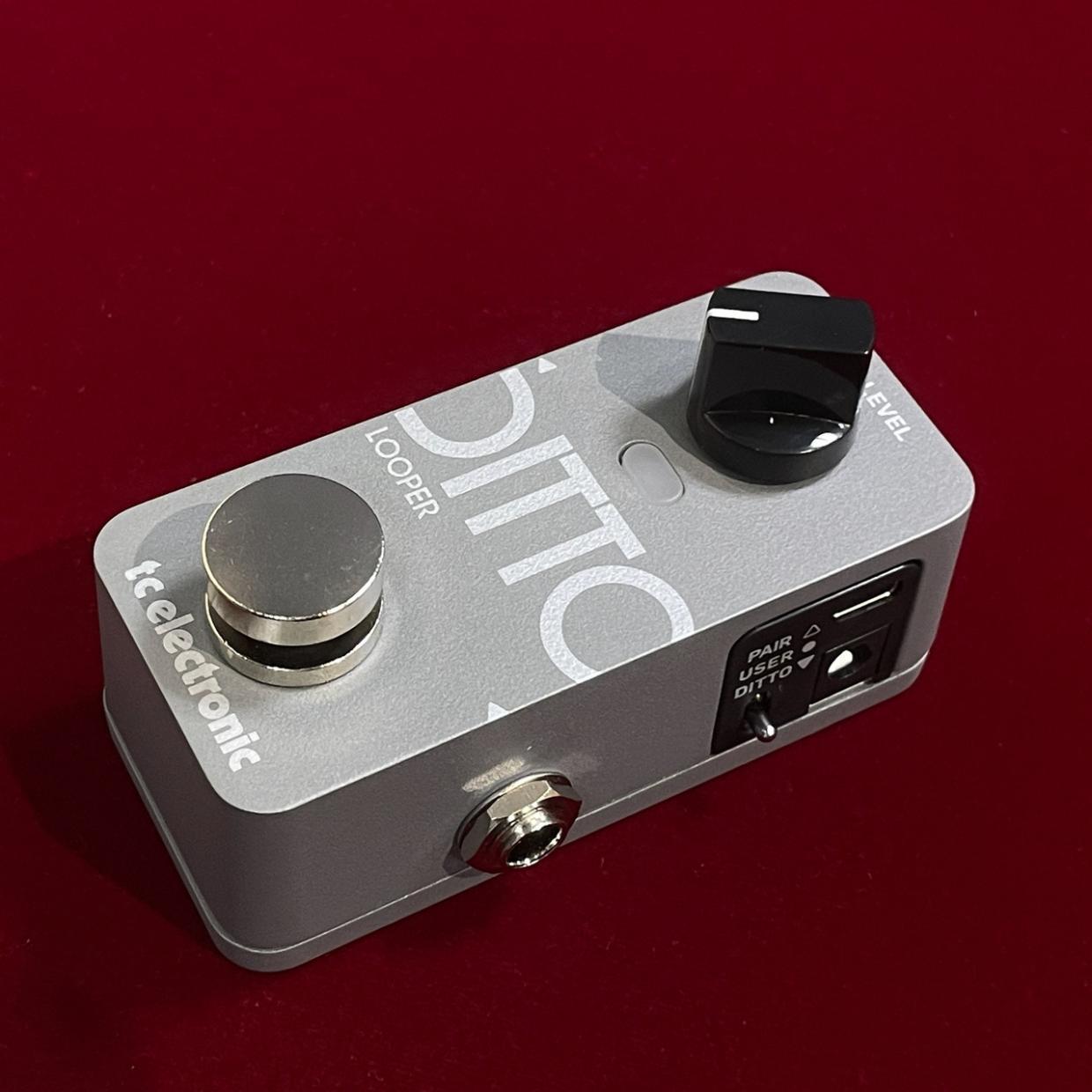 tc electronic DITTO 2 LOOPER（新品/送料無料）【楽器検索デジマート】