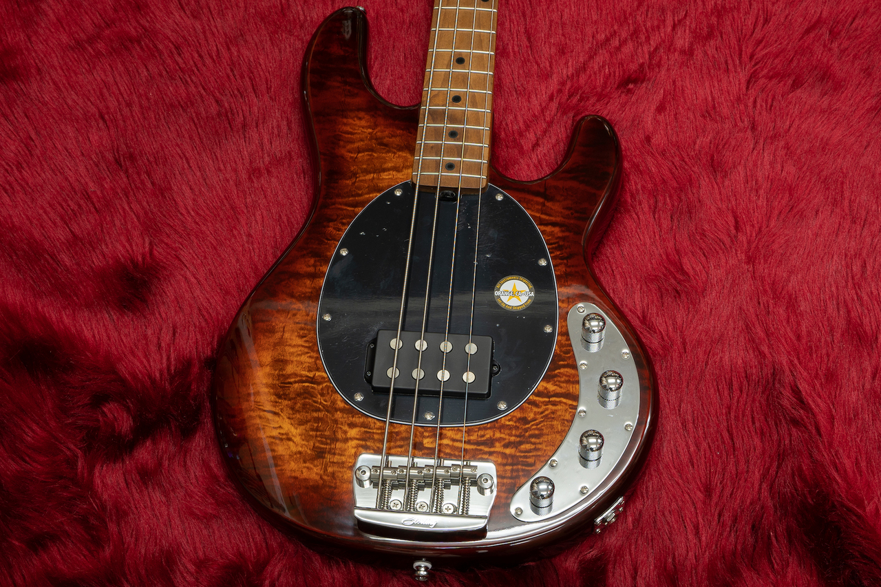 Sterling by MUSIC MAN RAY34 Roasted Maple #SR38733 4.36kg【横浜店