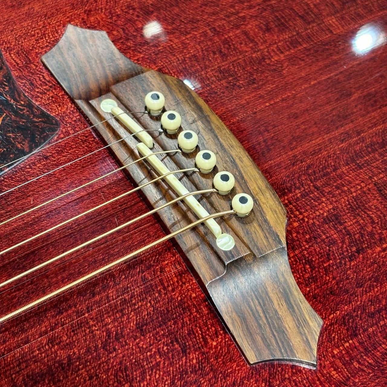 Takamine 中古 DMP551C ※難あり 【現物写真】（中古/送料無料）【楽器