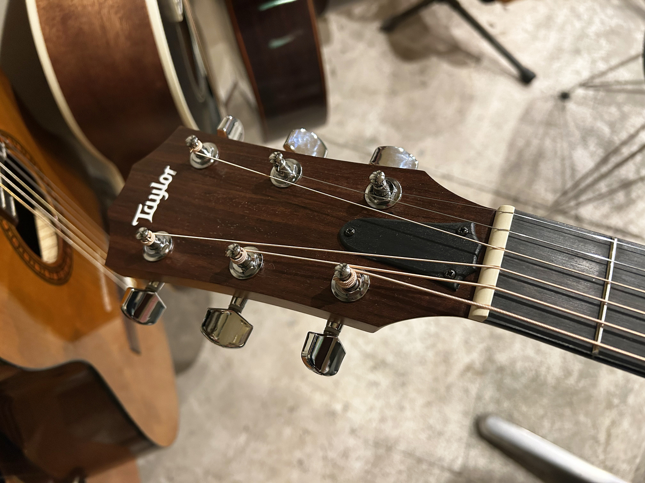 Taylor Taylor Academy 10e(中古)【楽器検索デジマート】 Taylor Taylor Academy 10e(中古)【楽器検索デジマート】