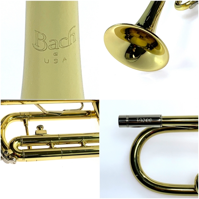 Bach TR300 中古