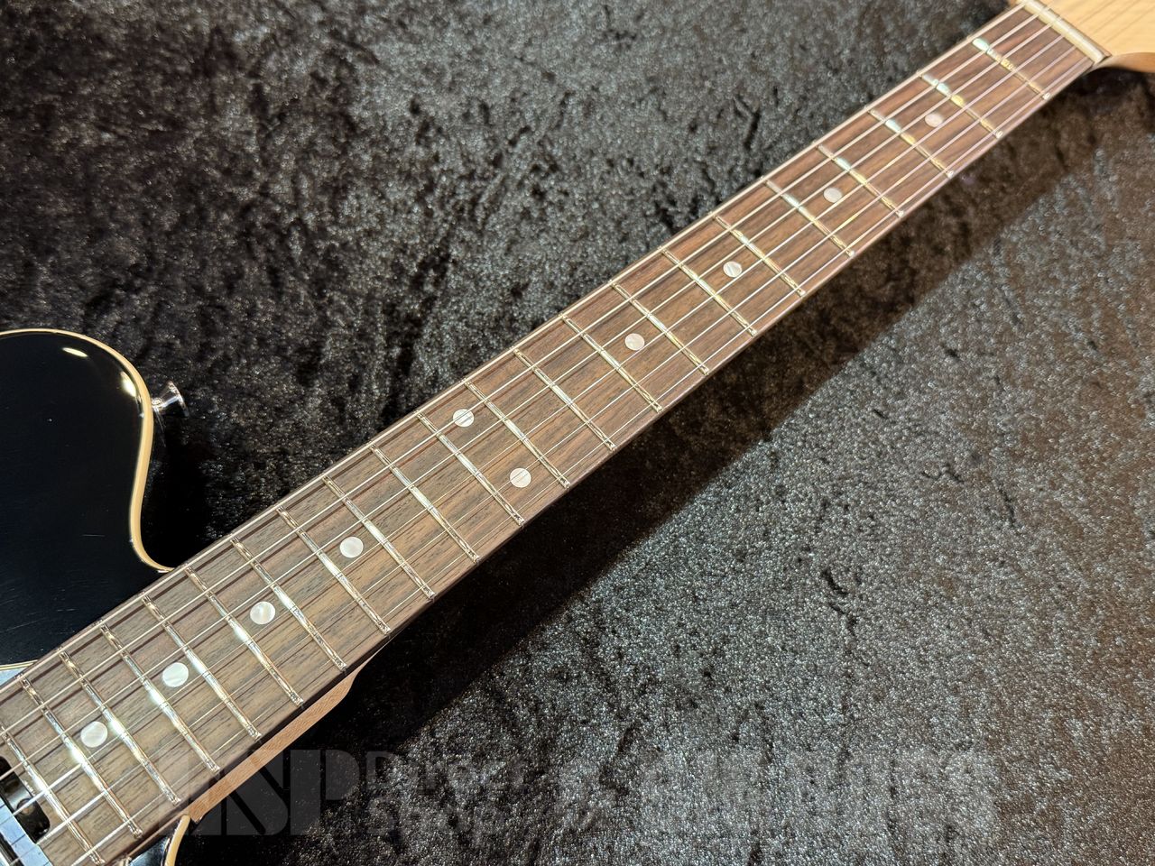 EDWARDS E-THROBBER-CTM【Black】（新品/送料無料）【楽器検索デジマート】