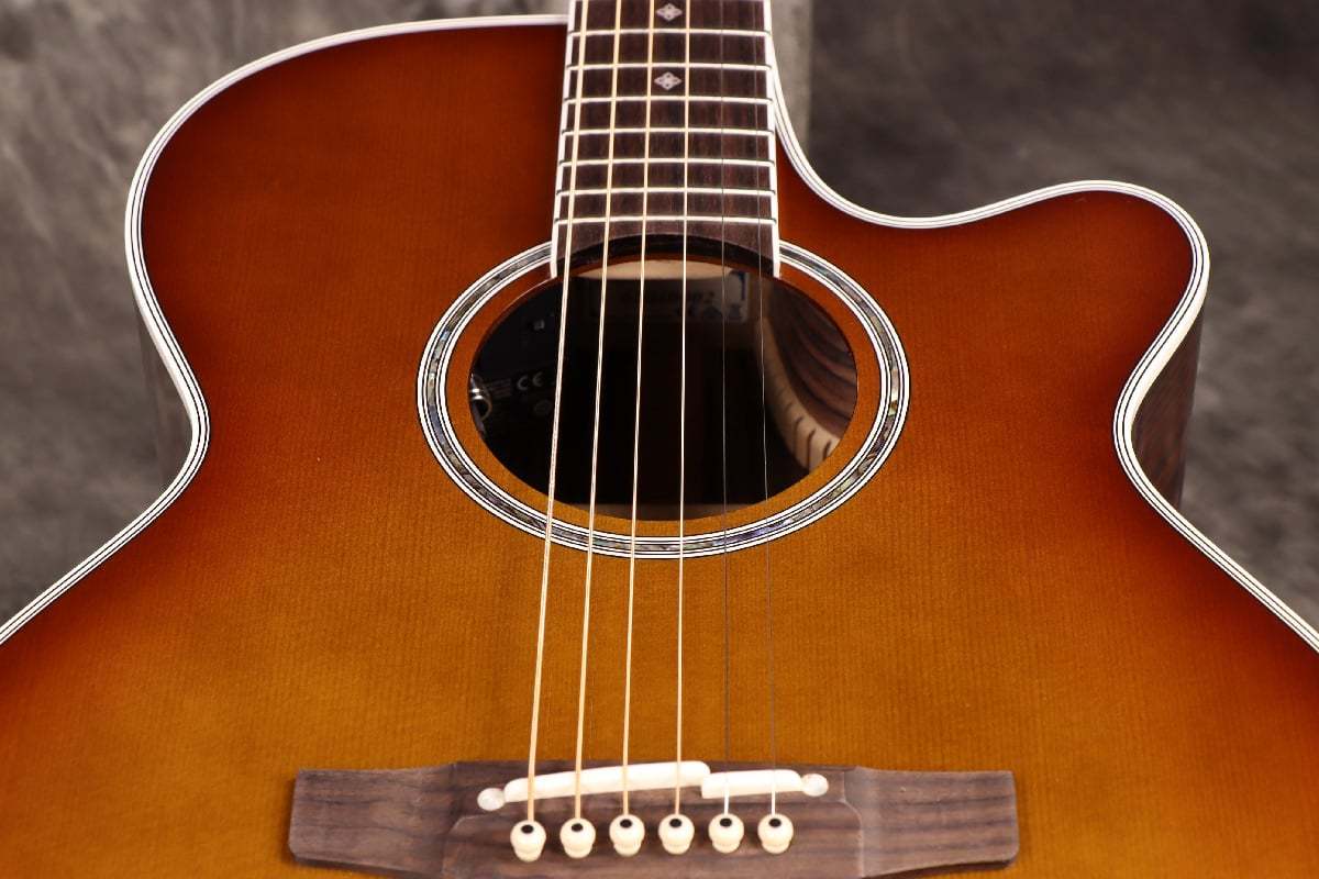 Takamine DMP161C TB 100 Series 高峰 タカミネ 日本製 【実物画像/未