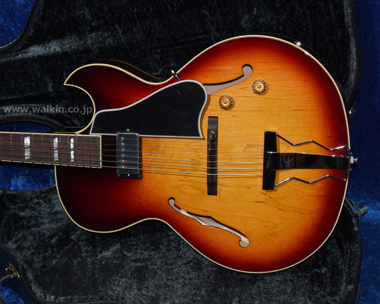 ギター Archtop Tribute AT175 Sunburst Archtop Tribute AT105M（新品）【楽器検索デジマート】