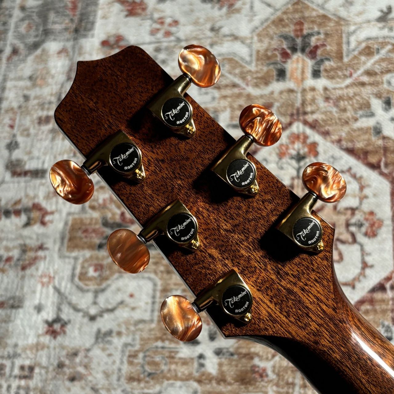 Takamine DMP50S NAT エレアコギター セミハードケース付属【島村楽器