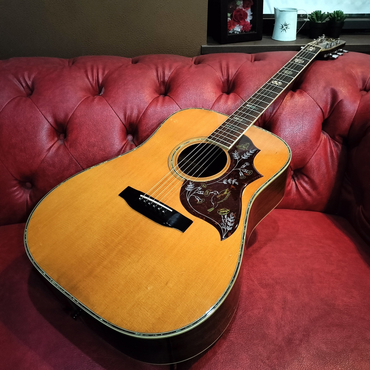 Morris W-60 TF 1980（ビンテージ）【楽器検索デジマート】