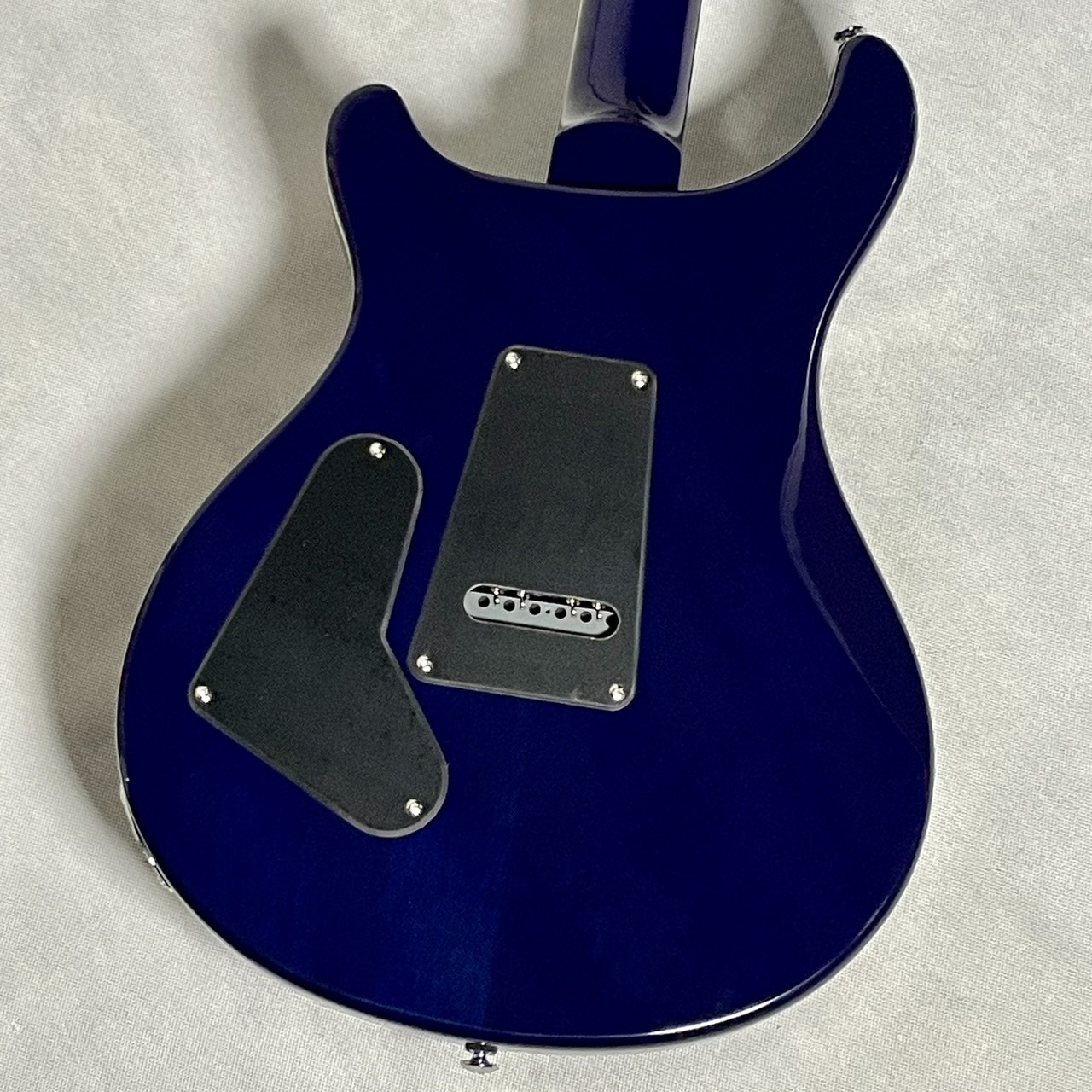 Paul Reed Smith(PRS) SE STANDARD 24 Translucent Blue【現物画像