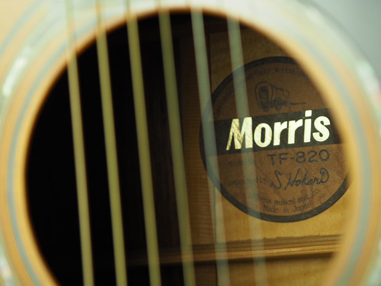 Morris TF-820(管理番号4962)（中古/送料無料）【楽器検索デジマート】