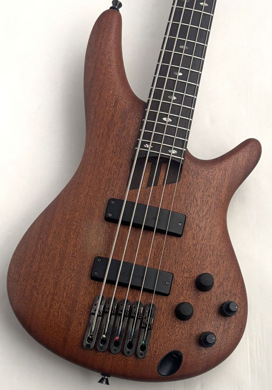 SR3005E | Ibanez Wiki | Fandom